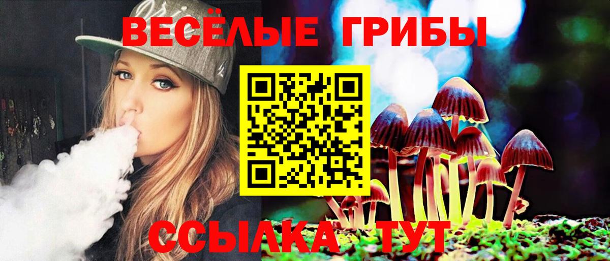 Гай  купить  цена  Вход с VPN  Псилоцибиновые грибы Psilocybe  Псилоцибиновые грибы Psilocybe 
