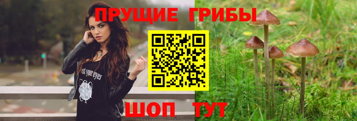 ГАШИШ  АМФЕТАМИН кристаллы  Гай  Мефедрон   Вход с VPN  Бошки Шишки  LSD-25 