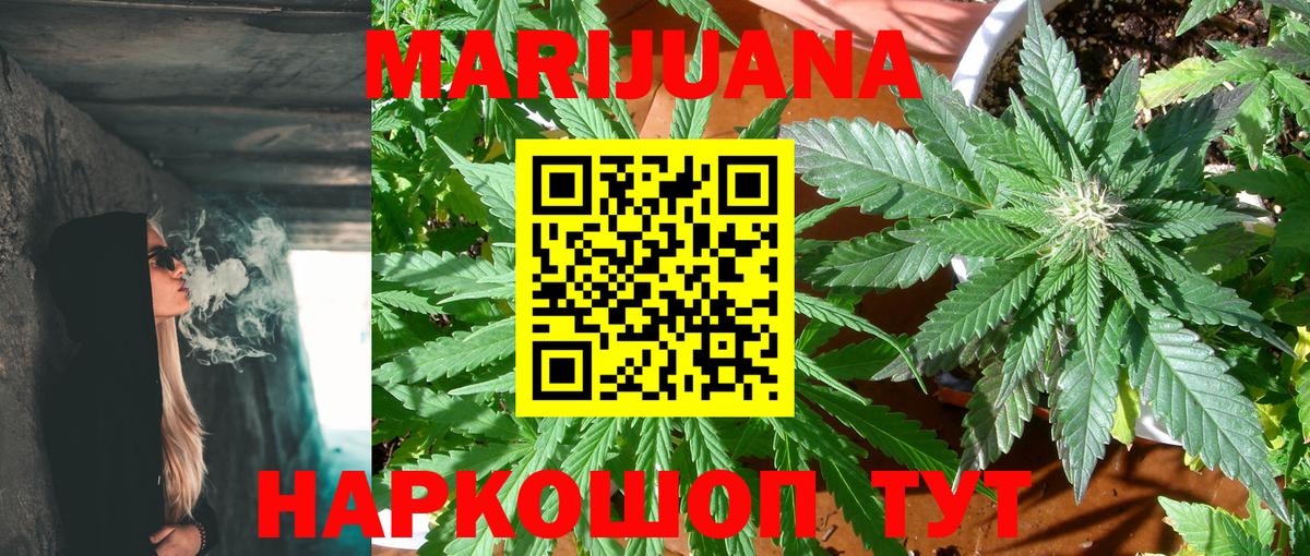 Марихуана гибрид Гай